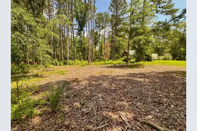 0 Howard Road, Senoia, GA 30276 - Photo 35