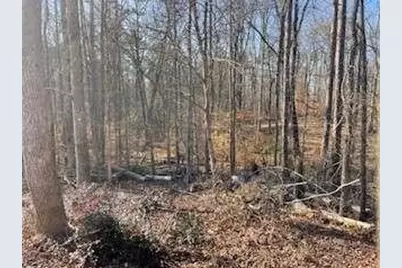 225 Standing Oak Place, Fayetteville, GA 30214 - Photo 5