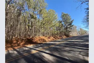 0 Allie Road, Greenville, GA 30222 - Photo 3