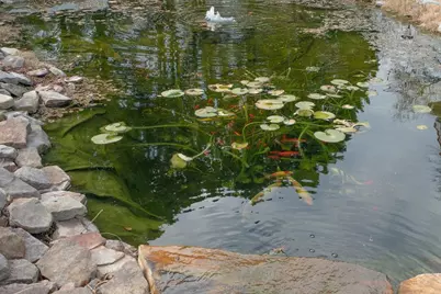 40 SE Riverview Court SE, Cartersville, GA 30120 - Photo 29