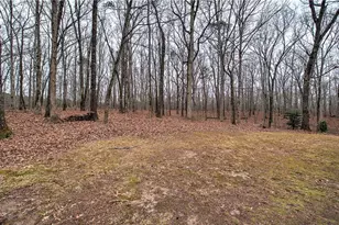 1722 Luther Bailey Rd, Senoia, GA 30276 - Photo 39