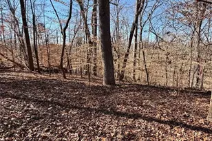 0 Arrowhead Ct, Lavonia, GA 30553 - Photo 1