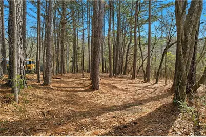 45 Roosevelt Street, Summerville, GA 30747 - Photo 13