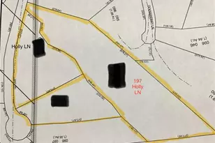 197 Holly Ln, Dahlonega, GA 30533 - Photo 33