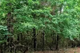 2410 Overlook Dr, Conyers, GA 30094 - Photo 21