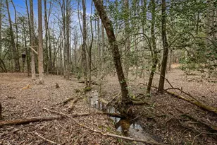 390 Sunny Brook Rd, Blue Ridge, GA 30513 - Photo 45