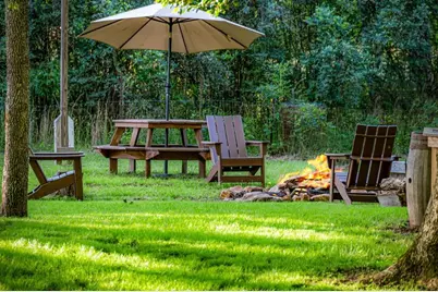 390 Sunnybrook Road, Blue Ridge, GA 30513 - Photo 59