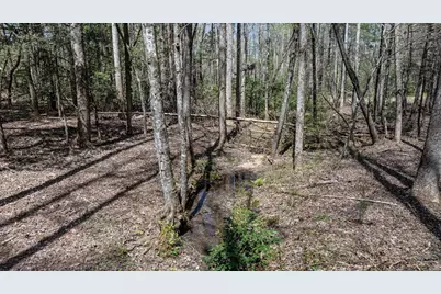 390 Sunnybrook Road, Blue Ridge, GA 30513 - Photo 47