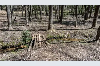 390 Sunnybrook Road, Blue Ridge, GA 30513 - Photo 49