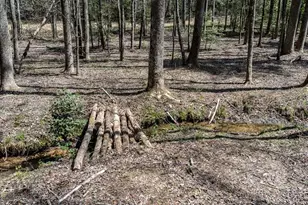 390 Sunny Brook Rd, Blue Ridge, GA 30513 - Photo 49