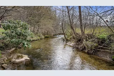 390 Sunnybrook Road, Blue Ridge, GA 30513 - Photo 5