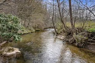 390 Sunny Brook Rd, Blue Ridge, GA 30513 - Photo 5