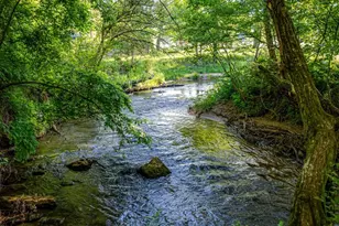 390 Sunny Brook Rd, Blue Ridge, GA 30513 - Photo 3
