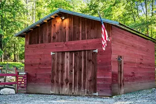 390 Sunny Brook Rd, Blue Ridge, GA 30513 - Photo 69