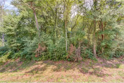 7207 Spout Springs Road, Flowery Branch, GA 30542 - Photo 13