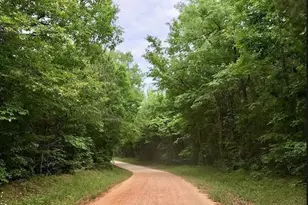 1360 Evans Road SE, Washington, GA 30673 - Photo 1