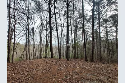 1036 Astro Court NE, Ranger, GA 30734 - Photo 5