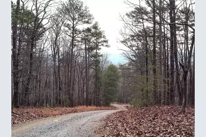 1036 Astro Court NE, Ranger, GA 30734 - Photo 3