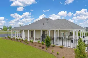 415 Abbott Rd, Statham, GA 30666 - Photo 43