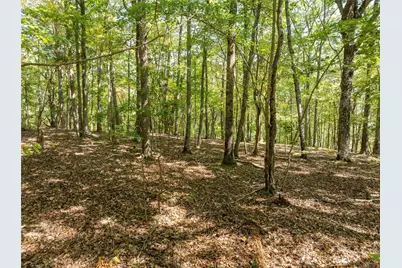 1205 Coachwhip Court, Jasper, GA 30143 - Photo 7