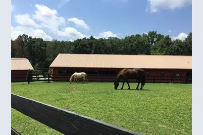 1205 Coachwhip Court, Jasper, GA 30143 - Photo 15