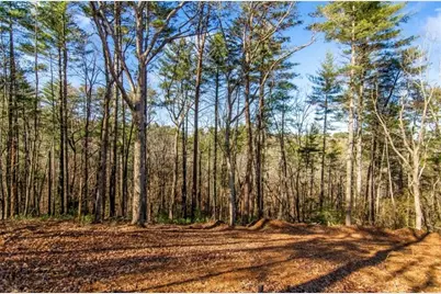 Lt 10R Whispering Oaks Drive, Ellijay, GA 30540 - Photo 3