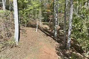 4779 Shirley Rd, Gainesville, GA 30506 - Photo 71