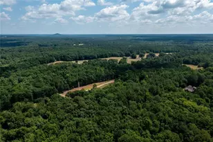 4955 H D Atha Rd, Covington, GA 30014 - Photo 75