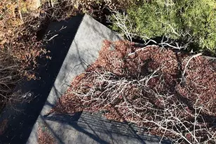 3808 Martin Luther King Jr Dr SW, Atlanta, GA 30331 - Photo 5