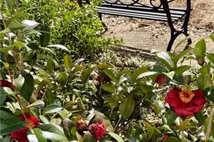 1084 Becky Ct, Acworth, GA 30102 - Photo 5