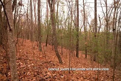 Lot 18 Dover Highlands Trail, Ellijay, GA 30540 - Photo 21