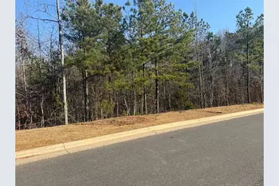 189 Valley Oak Drive, Dawsonville, GA 30534 - Photo 49