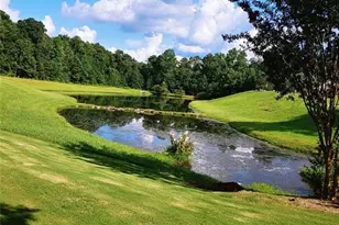 3805 Butler Springs Dr, Loganville, GA 30052 - Photo 47