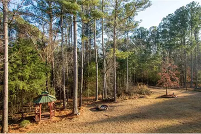 4218 Pine Hill Drive, Loganville, GA 30052 - Photo 57