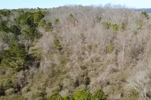 820 Ledbetter Road W, Villa Rica, GA 30180 - Photo 15