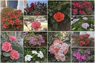 1103 NW Ridenour Ct NW, Kennesaw, GA 30152 - Photo 49