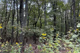 0 Little Hendricks Mountain, Jasper, GA 30143 - Photo 1