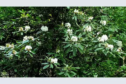 Lot 4 Gold Ridge Trail, Cherrylog, GA 30522 - Photo 9