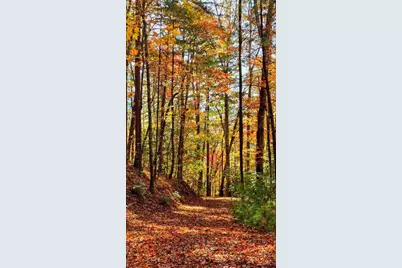 Lot 4 Gold Ridge Trail, Cherrylog, GA 30522 - Photo 5