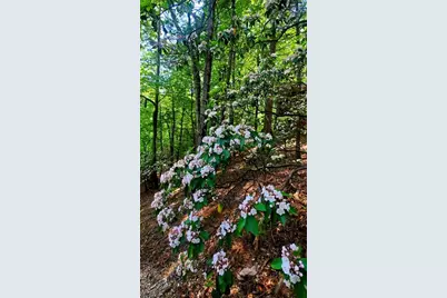 Lot 4 Gold Ridge Trail, Cherrylog, GA 30522 - Photo 11