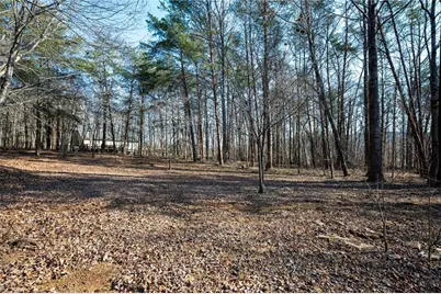 8202 Henderson Mountain Road, Jasper, GA 30143 - Photo 9