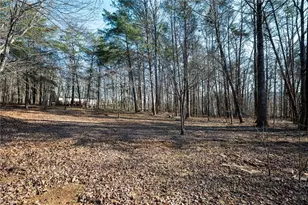 8202 Henderson Mountain Rd, Jasper, GA 30143 - Photo 9