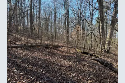 0 Gardner Springs Road, Adairsville, GA 30103 - Photo 5