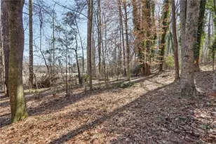 317 New Foal Ln, Kennesaw, GA 30144 - Photo 51