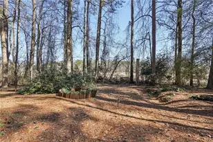 317 New Foal Ln, Kennesaw, GA 30144 - Photo 53