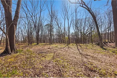 0 Winford Smith Road, Athens, GA 30607 - Photo 3