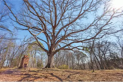 0 Winford Smith Road, Athens, GA 30607 - Photo 9