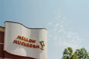 1519 Westend Wy, Cumming, GA 30041 - Photo 53