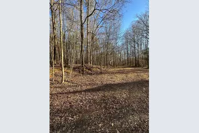 0 Collier Street SW, Covington, GA 30014 - Photo 9