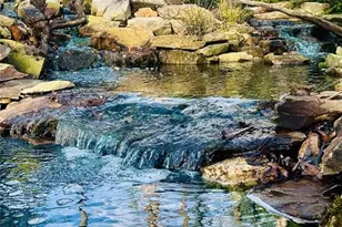 85 Frances Dr, Ellijay, GA 30536 - Photo 31